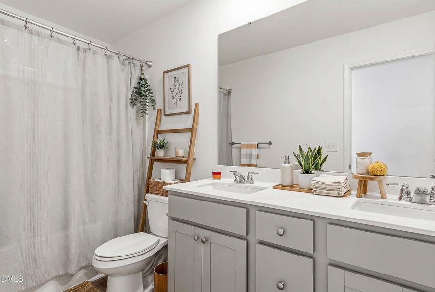 image_version_2 (16)