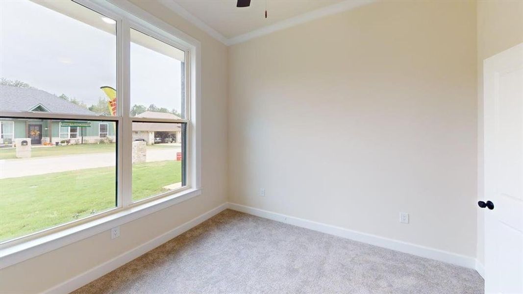 Empty room featuring carpet flooring, ceiling fan, and crown molding