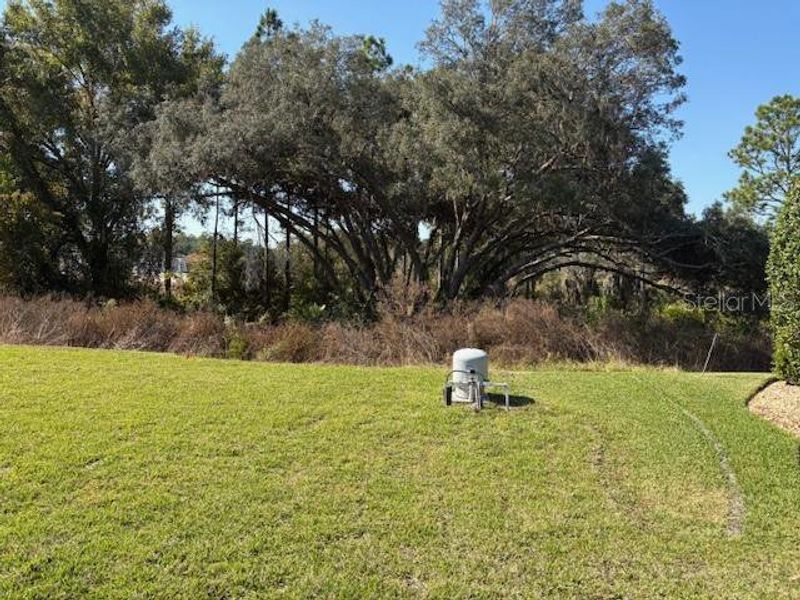 Natural landscape and outdoor views near Juliette Falls in Dunnellon (Image 8).