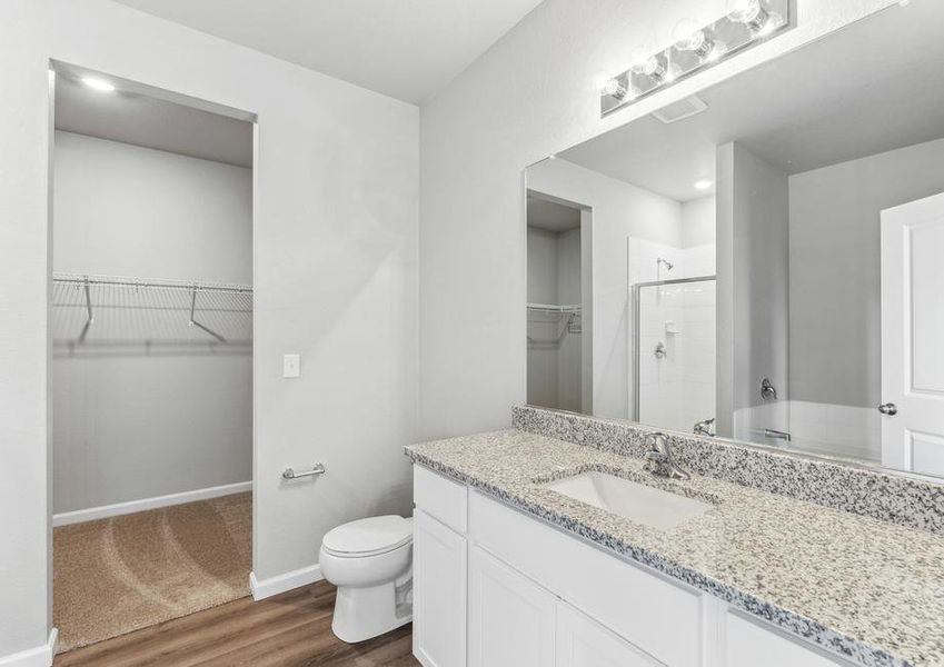 The master bathroom has plenty of vanity space.