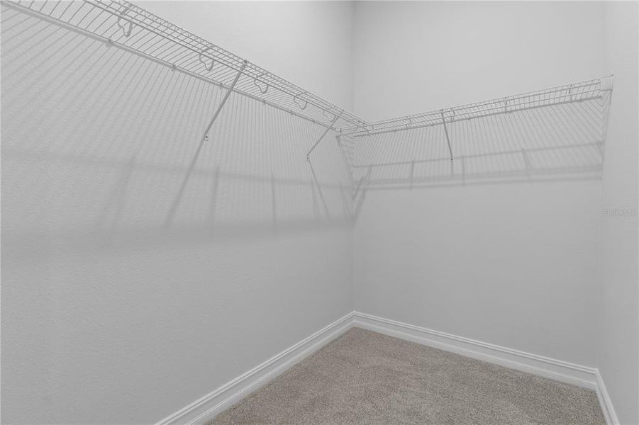Spacious, unfurnished interior of a new home in , Lecanto (Image 47).