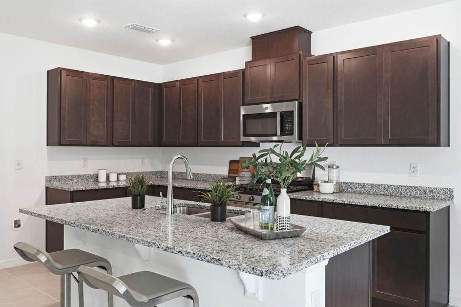 Furnished interior view inside a new home in Eagletail Landings, Howey-in-the-Hills (Image 4).