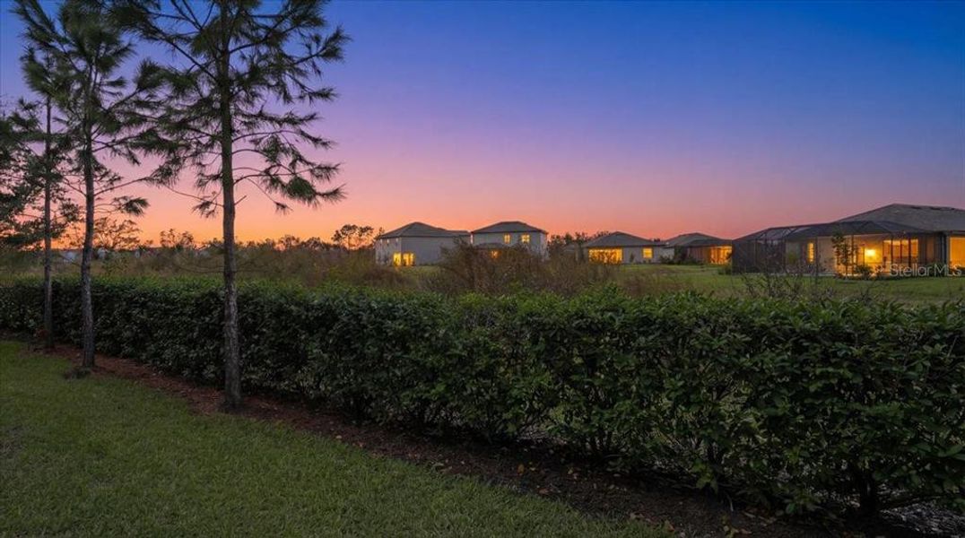 Natural landscape and outdoor views near in Lakewood Ranch (Image 50). Natural landscape and outdoor views near in Lakewood Ranch (Image 50).