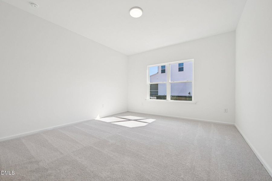 41-web-or-mls-N Stone Ml Trl-S2803-041