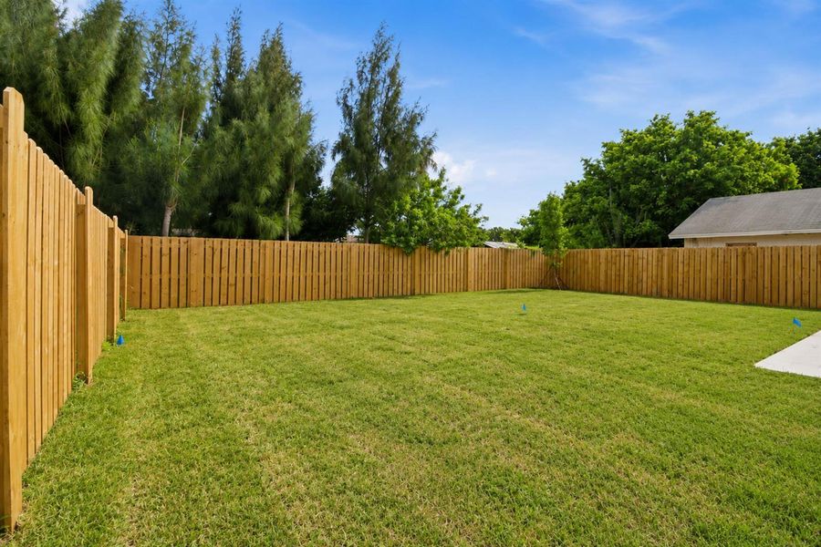 Yard Exterior 2
