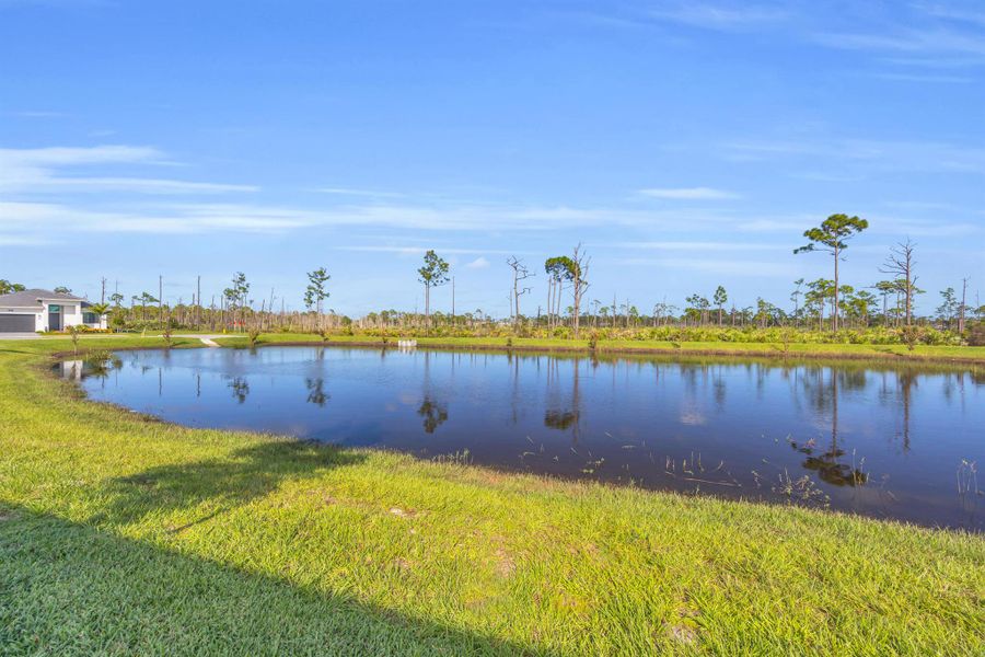 Natural landscape and outdoor views near Cove Royale in Stuart (Image 32). Natural landscape and outdoor views near Cove Royale in Stuart (Image 32).