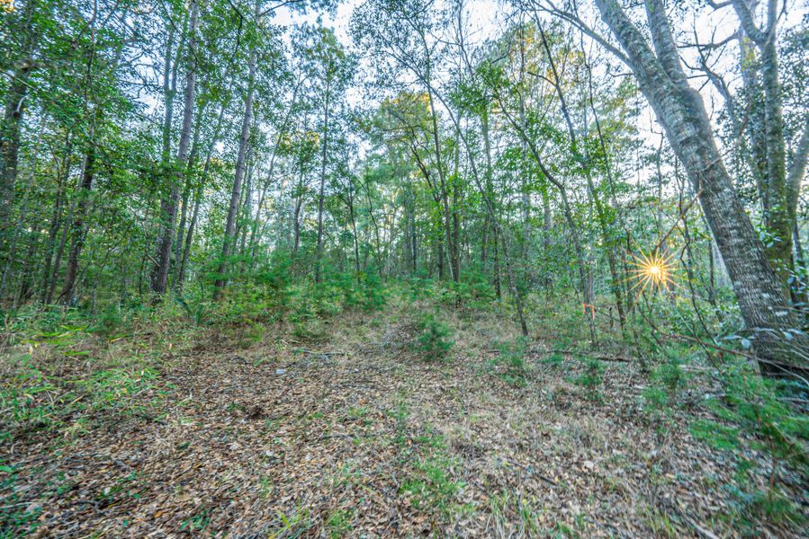 Natural landscape and outdoor views near in Dorchester (Image 40). Natural landscape and outdoor views near in Dorchester (Image 40).