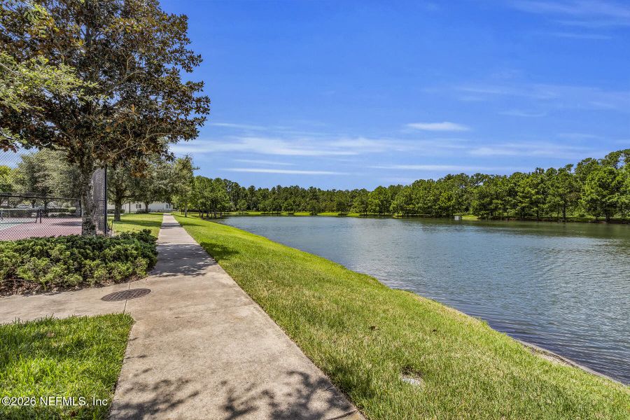 Natural landscape and outdoor views near Rolling Hills in Green Cove Springs (Image 54).