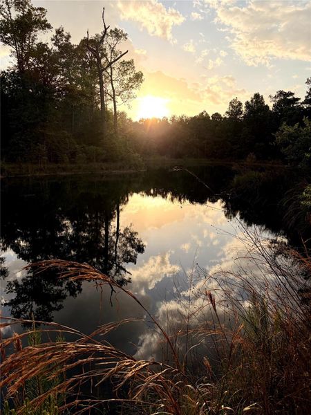 Natural landscape and outdoor views near  in Montgomery (Image 14).