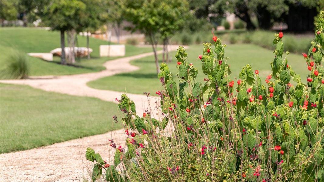 View of community with a yard