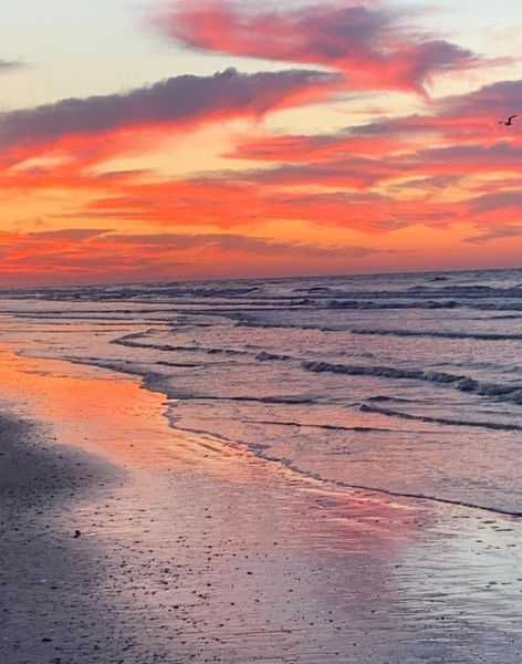Walk or golf cart to the end of the Street to the Beach! Walk or golf cart to the end of the Street to the Beach!