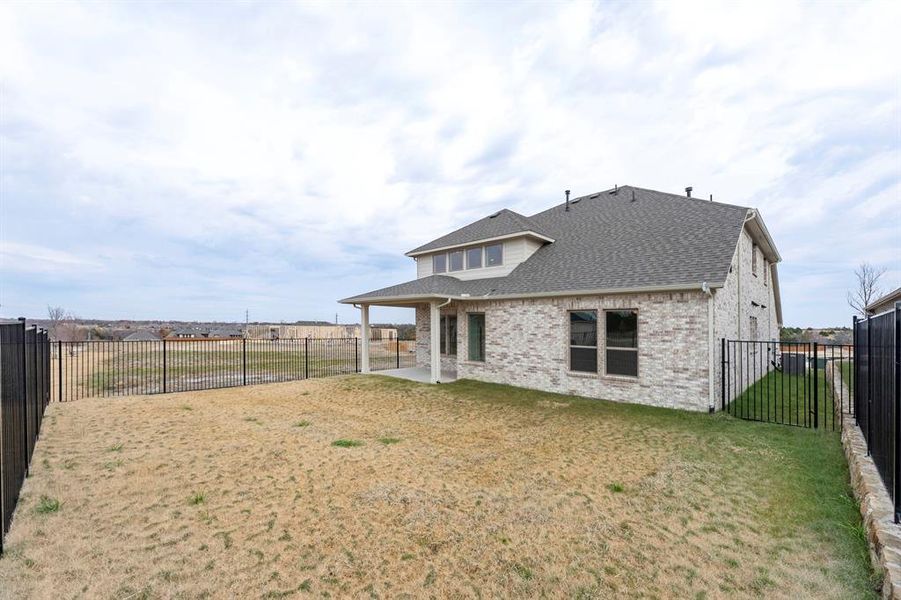 30. 209 Evenstar - Back (2)