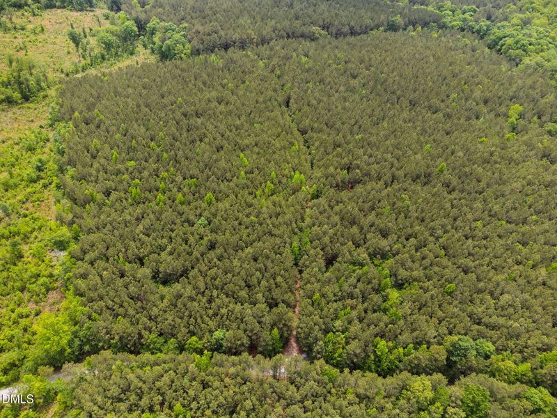 11-web-or-mls-s-plank-rd (1) 11-web-or-mls-s-plank-rd (1)