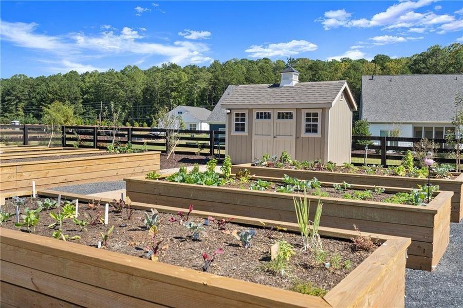 Community amenities in The Reserve at Bells Ferry, Kennesaw (Image 33). Community amenities in The Reserve at Bells Ferry, Kennesaw (Image 33).