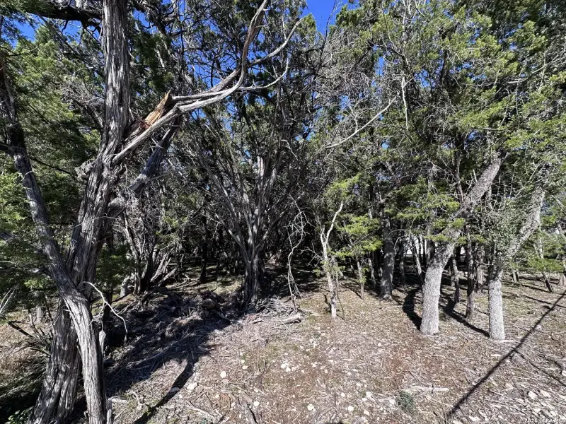 Natural landscape and outdoor views near  in Lakehills (Image 33).