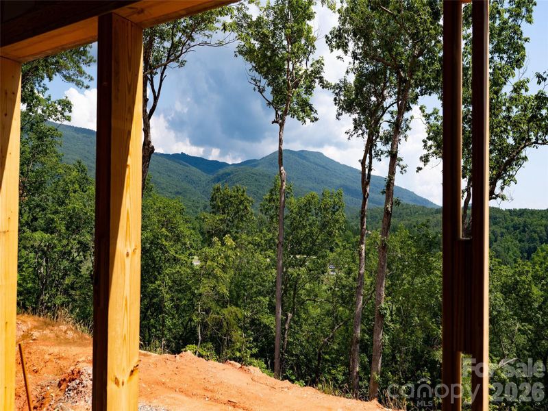Natural landscape and outdoor views near  in Mill Spring (Image 33).