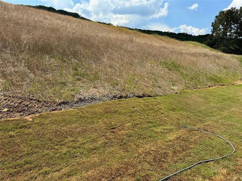 Natural landscape and outdoor views near  in Cartersville (Image 25).