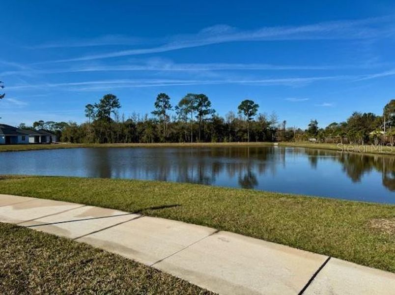 Natural landscape and outdoor views near  in Orlando (Image 12).