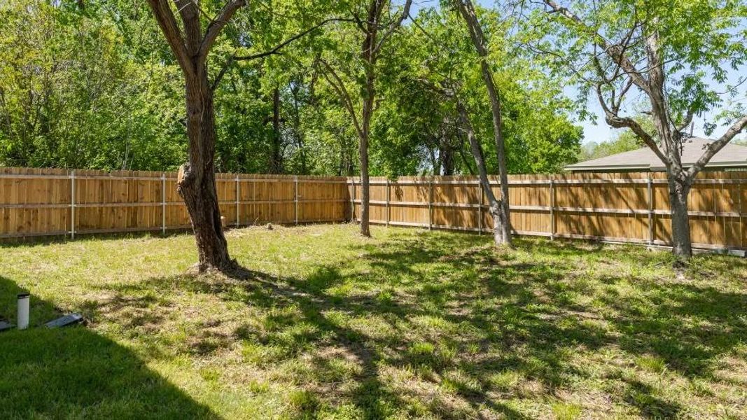 View of yard View of yard