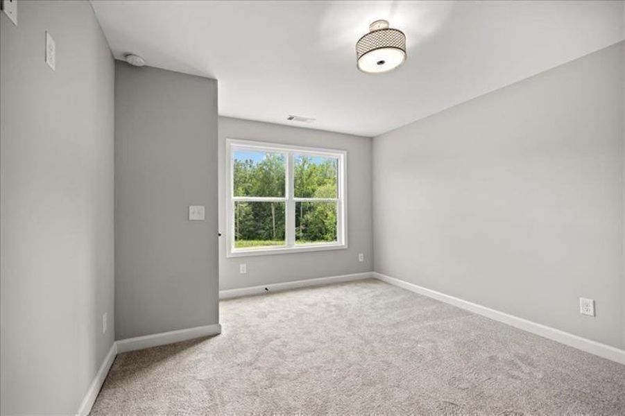 Spacious, unfurnished interior of a new home in Cooks Farm, Woodstock (Image 27).