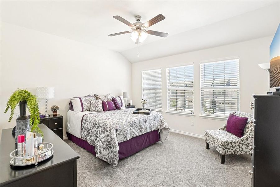 Carpeted bedroom featuring lofted ceiling and ceiling fan Carpeted bedroom featuring lofted ceiling and ceiling fan