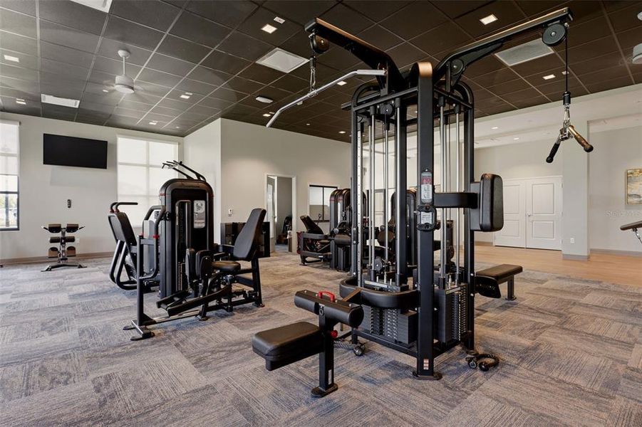 Community amenities in , Venice (Image 31).