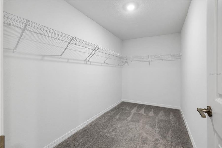 Spacious, unfurnished interior of a new home in Wind Meadows South, Bartow (Image 43).