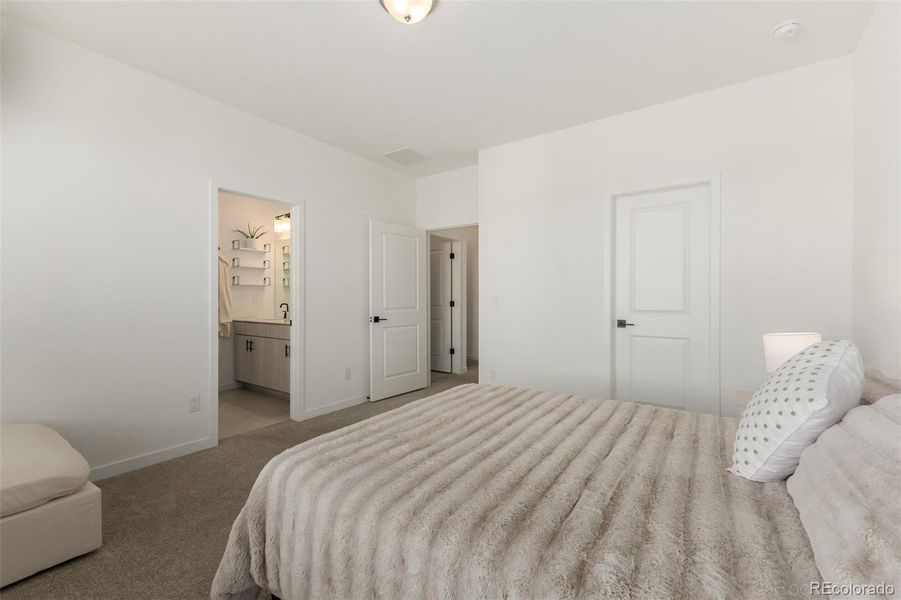 Primary bedroom with walk-in closet and bathroom