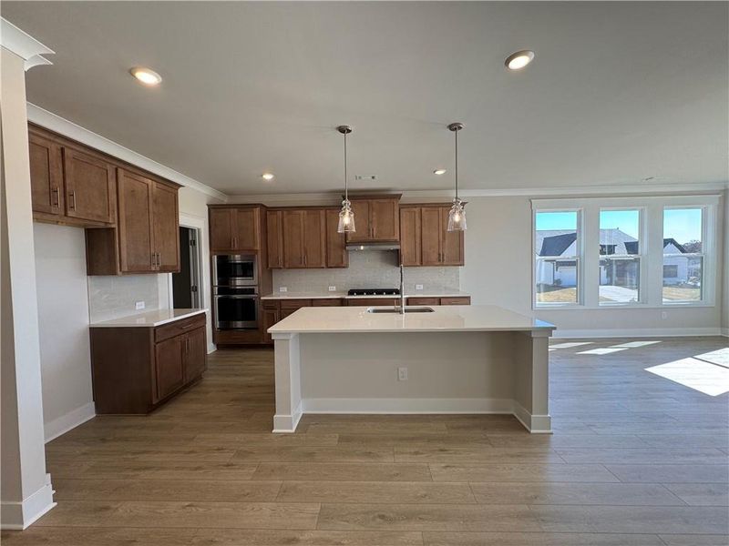 Furnished interior view inside a new home in Rosewood Lake Estates, Hoschton (Image 5). Furnished interior view inside a new home in Rosewood Lake Estates, Hoschton (Image 5).