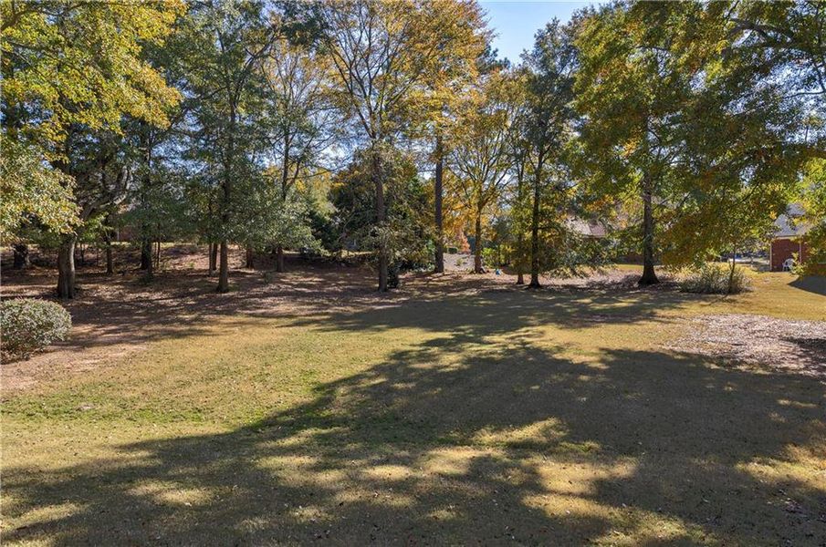 Natural landscape and outdoor views near in Social Circle (Image 41). Natural landscape and outdoor views near in Social Circle (Image 41).