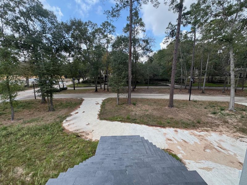 Natural landscape and outdoor views near  in Humble (Image 33).