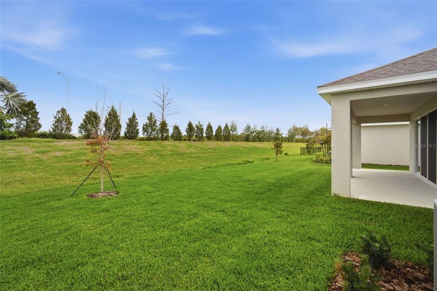 Exterior details and patio area of a home in North River Ranch, Parrish (Image 3).
