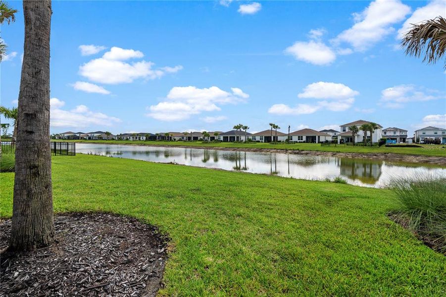 Natural landscape and outdoor views near in Punta Gorda (Image 64). Natural landscape and outdoor views near in Punta Gorda (Image 64).