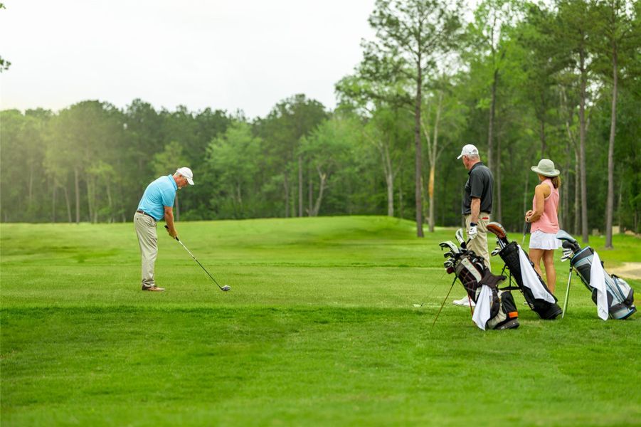 Image 25 of a home in The Highlands 45'.