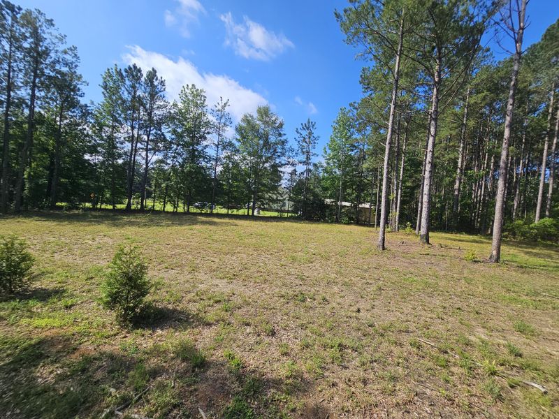 Natural landscape and outdoor views near in Hartsville (Image 9). Natural landscape and outdoor views near in Hartsville (Image 9).