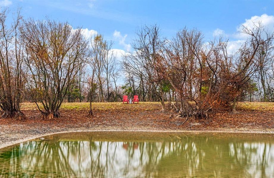 Stock Pond Stock Pond