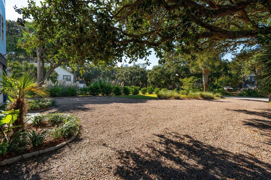 Natural landscape and outdoor views near  in Folly Beach (Image 61).