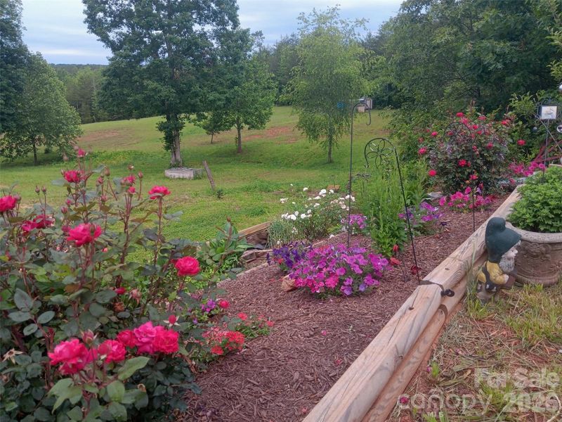 Natural landscape and outdoor views near  in Bostic (Image 38).