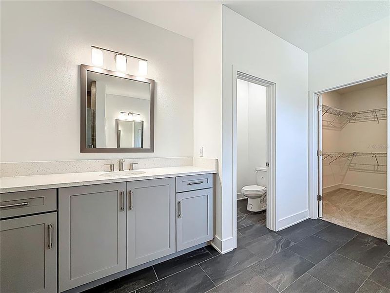 Furnished interior view inside a new home in , Tampa (Image 40). Furnished interior view inside a new home in , Tampa (Image 40).