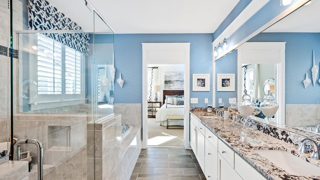Owner's Bath