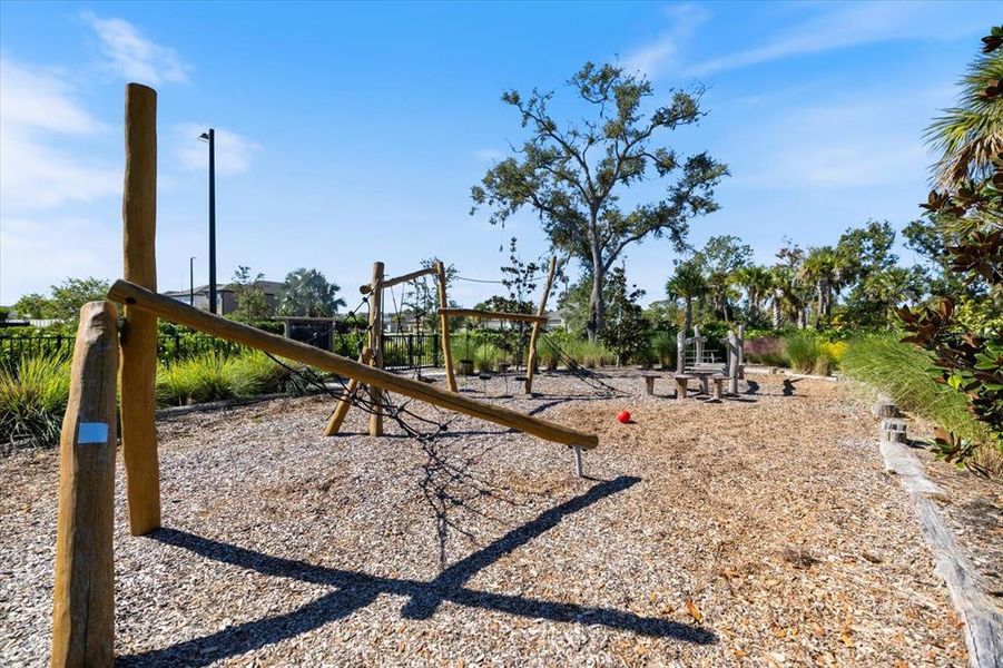 Community amenities in Palmero, Nokomis (Image 36).