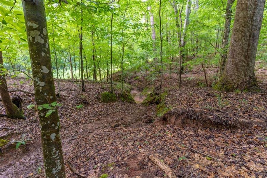 Natural landscape and outdoor views near in Monticello (Image 43). Natural landscape and outdoor views near in Monticello (Image 43).