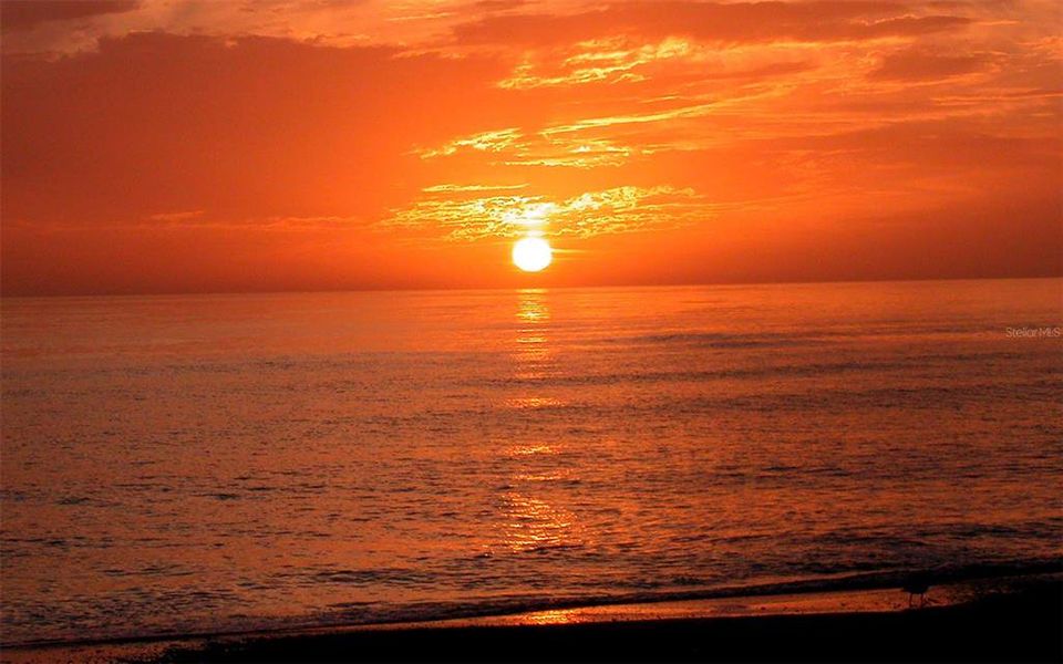 Natural landscape and outdoor views near  in Sarasota (Image 9).