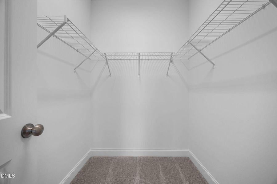 37-web-or-mls-IMG_6634