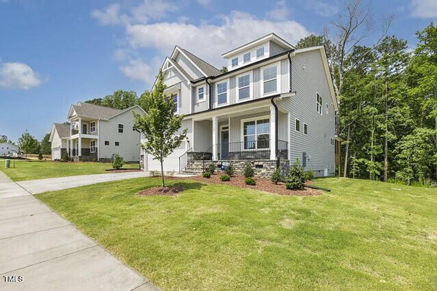 54562913267_a06b12a79e_z