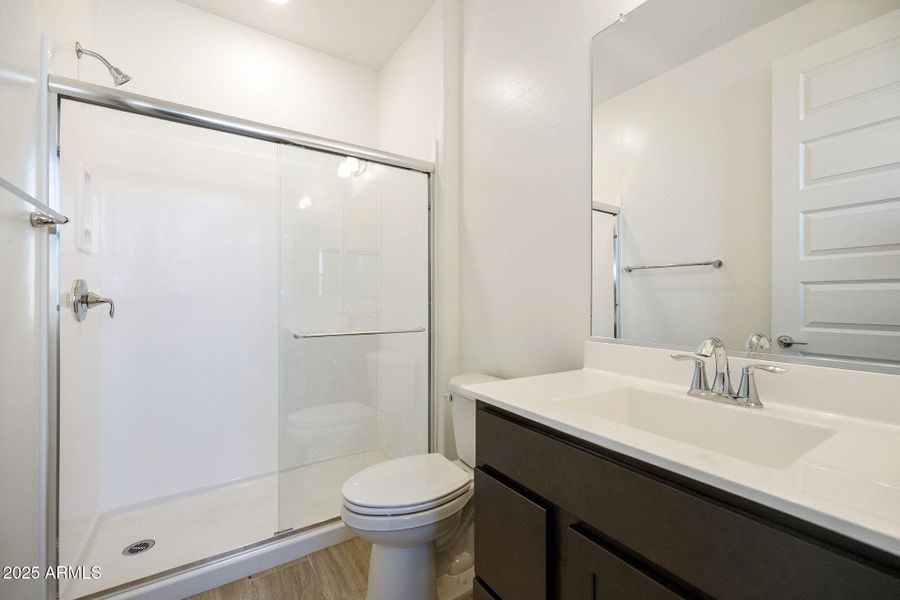 LOWER LEVEL GUEST BATH