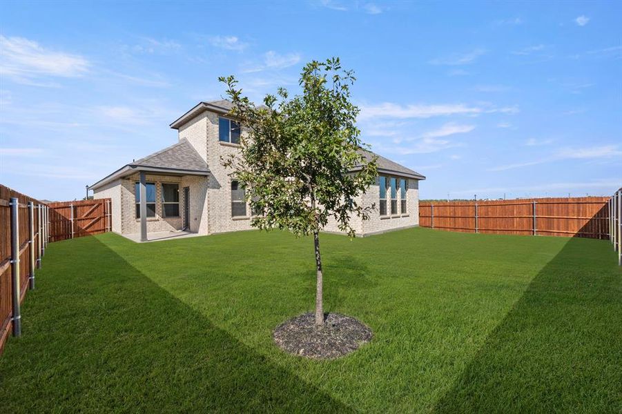 27. 100 Meadow - Back (2) 27. 100 Meadow - Back (2)