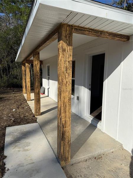 Exterior details and patio area of a home in , Ocklawaha (Image 13).