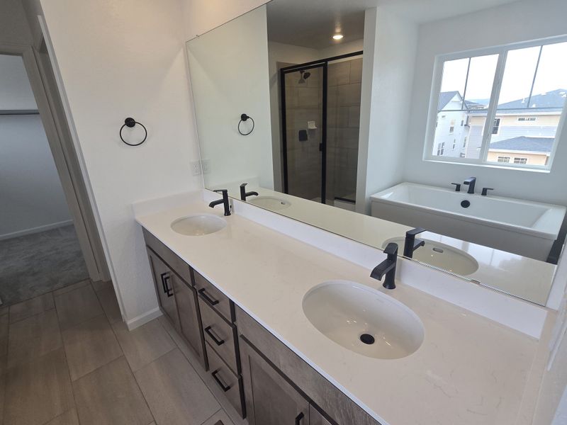 Furnished interior view inside a new home in Sterling Ranch Ascent Village, Littleton (Image 4).