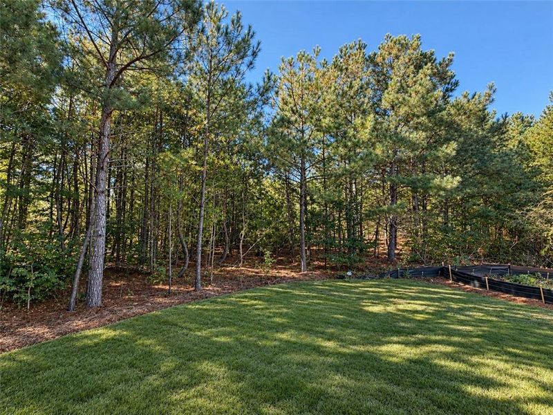 Natural landscape and outdoor views near Magnolia Villas in Cornelia (Image 43).